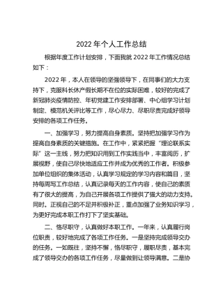 2022年个人工作总结 (2)