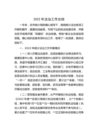 2022年法治工作总结（统计）