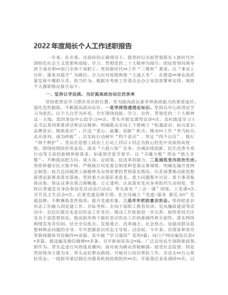 2022年度局长个人工作履职述职报告4400字