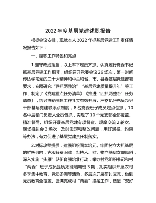 2022年度基层党建述职报告2500字