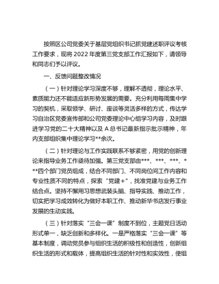 2022年度党支部工作总结汇报（公司党建履职述职）