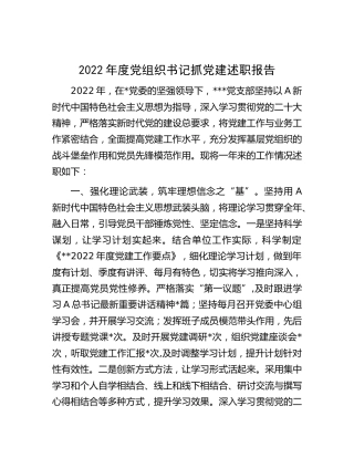2022年党组织书记抓党建述职报告2700字