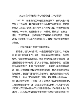 2022年党组织书记抓党建工作述职报告3100字