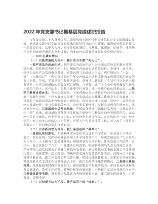 2022年党支部书记抓基层党建述职报告2500字