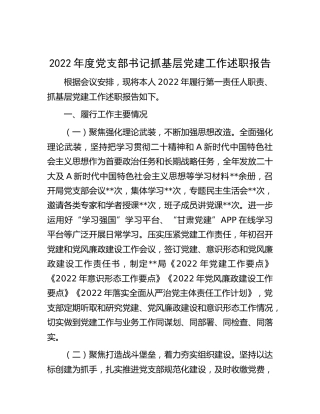 2022年党支部书记抓党建工作述职报告3300字