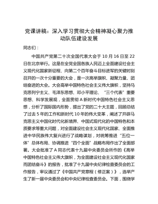 二十大党课：深入学习贯彻大会精神 凝心聚力推动队伍建设发展