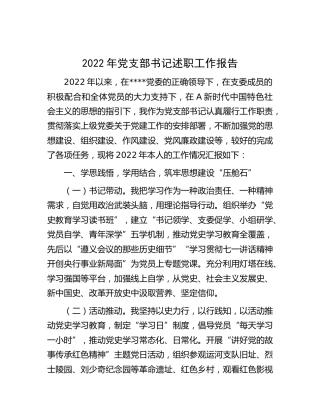 2022年党支部书记述职工作报告3100字