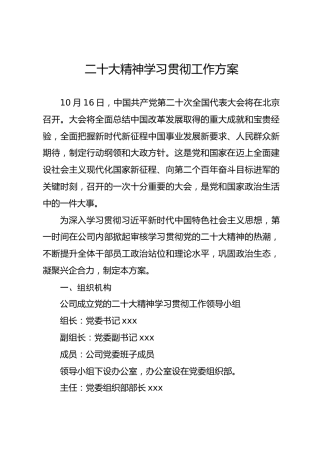 二十大精神学习贯彻工作方案