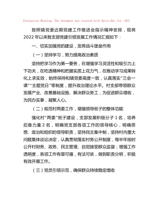 党建引领发展工作情况汇报（村）