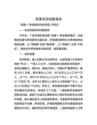 党建项目结题报告
