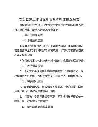 党建工作目标责任检查整改情况报告
