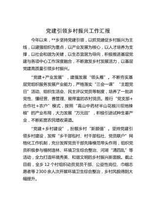 党建引领乡村振兴工作汇报 (2)