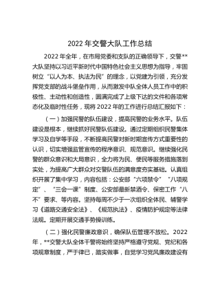 2022年交警大队工作总结（公安）