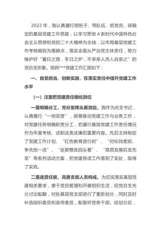2022年抓党建述职报告（水利2800字）