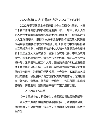 2022年乡镇人大工作总结及2023工作谋划
