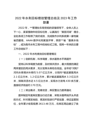 2022年水利目标绩效管理总结