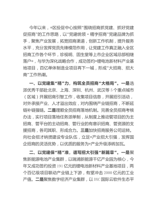 2022年区投促中心党建工作总结汇报