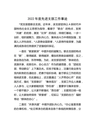 2022年度先进党支部工作事迹