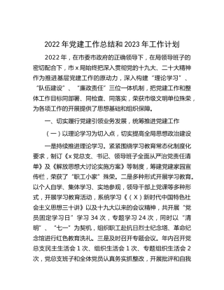 2022年党建工作总结和2023年工作计划2500字