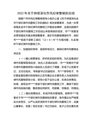 2022年持续深化作风纪律整顿总结