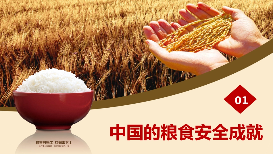 党课ppt:粮食安全白皮书解读_第4页