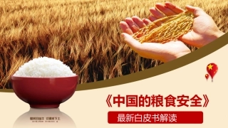党课ppt：粮食安全白皮书解读