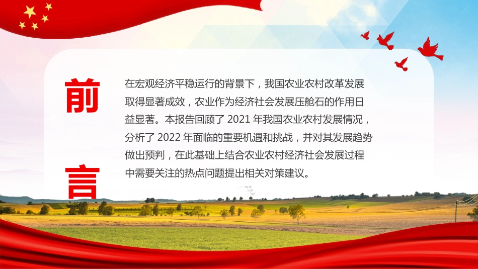 党课ppt:保障农业农村优先发展PPT_第2页