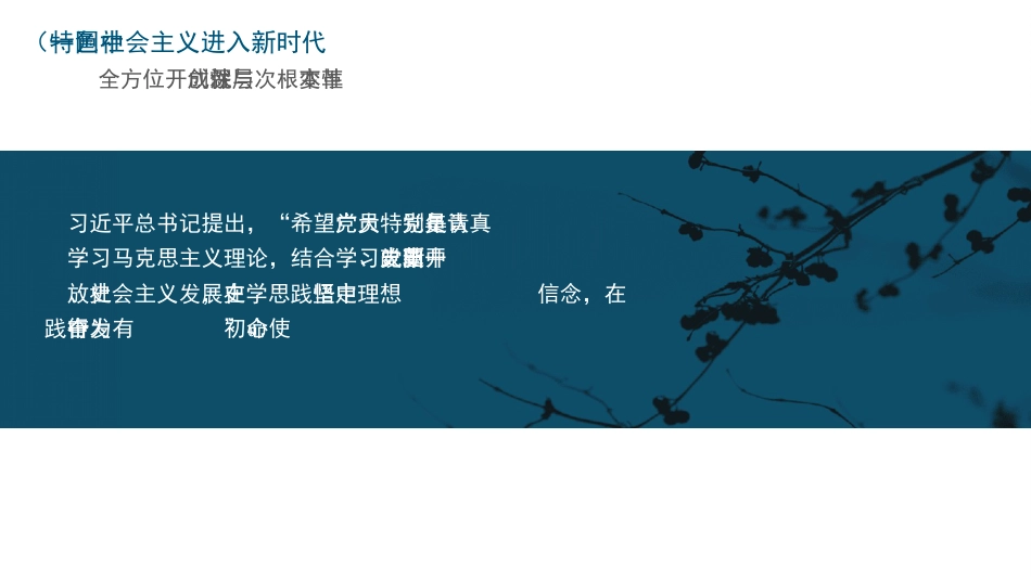 党课ppt+讲稿：当代中国的历史性跨越与中国青年的使命担当_第8页