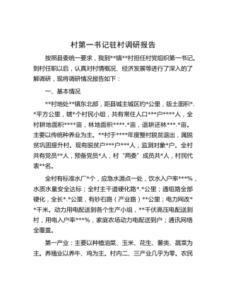 村第一书记驻村调研报告