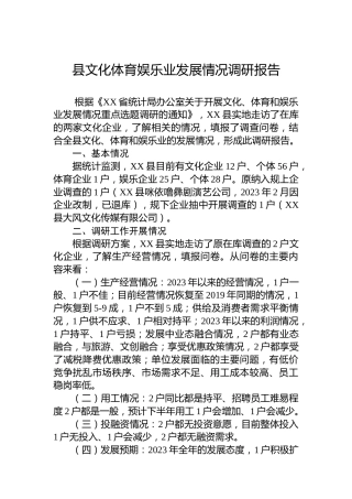 县文化体育娱乐业发展情况调研报告