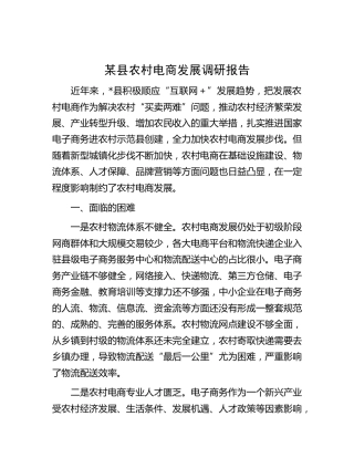 县农村电商发展调研报告