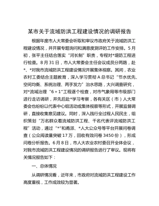 市关于流域防洪工程建设情况的调研报告