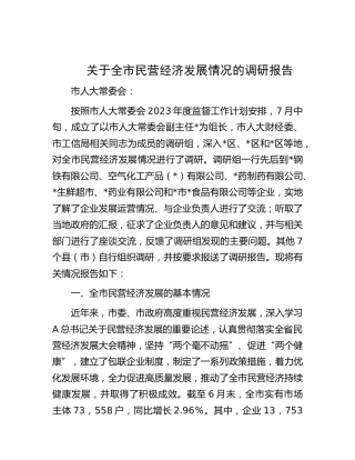 全市民营经济发展情况的调研报告