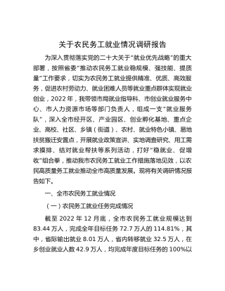 农民务工就业情况调研报告