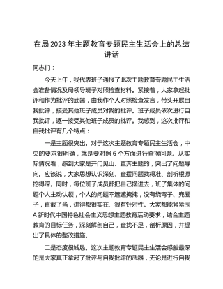 在局2023年主题教育专题民主生活会上的总结讲话1700字