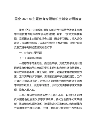 国企公司主题教育专题组织生活会支部班子对照检查4500字（六个方面）