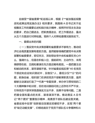 组织部长2023年巡视（巡察）整改专题民主生活会发言4400字