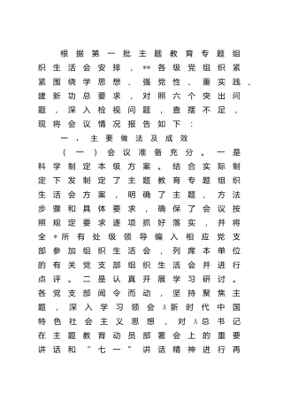 主题教育专题组织生活会情况总结报告2000字
