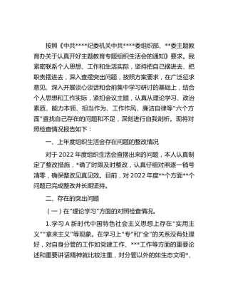 主题教育专题组织生活会个人对照检查4400字