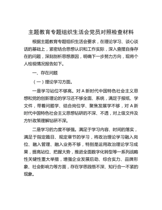 主题教育专题组织生活会个人对照检查4100字 (2)