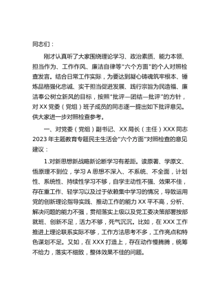 主题教育专题民主生活会上对其他班子成员的批评意见2600字