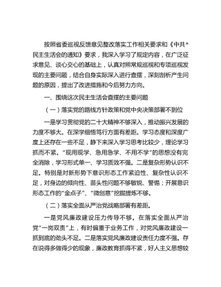 巡视（巡察）整改专题民主生活会个人对照检查发言2000字