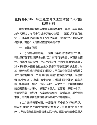 宣传部长主题教育民主生活会个人对照检查3700字