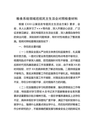 粮食系统领域巡视巡察民主生活会个人对照检查3900字（含批评意见）