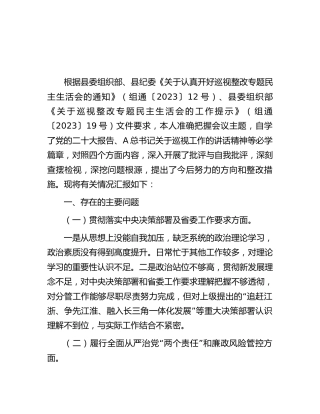 国企公司巡视（巡察）整改专题民主生活会个人对照检查发言2000字