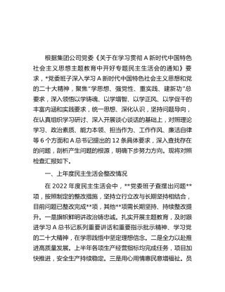 国企公司领导班子主题教育专题民主生活会对照检查4100字
