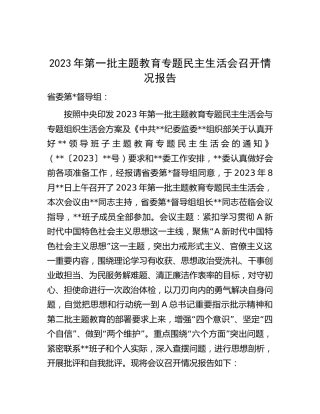 第一批主题教育专题民主生活会召开情况总结报告3000字