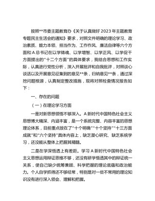 2023年主题教育专题民主生活会个人对照检查4700字（乡镇）