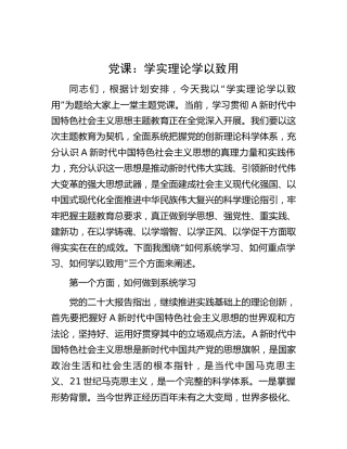 主题教育党课：学实理论 学以致用