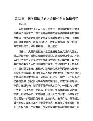 微党课：深学细悟二十大精神  争做先锋模范